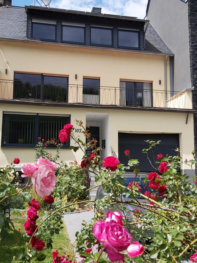 Ferienwohnung "Zum Klosterruinenblick" Krov Ngoại thất bức ảnh